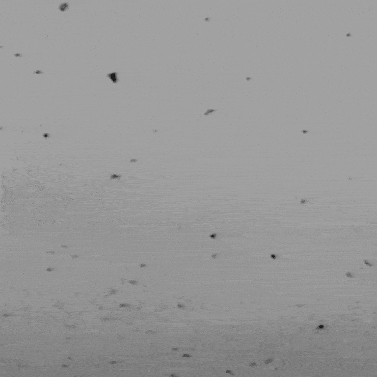 notion image