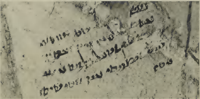 Inscription NO. 51