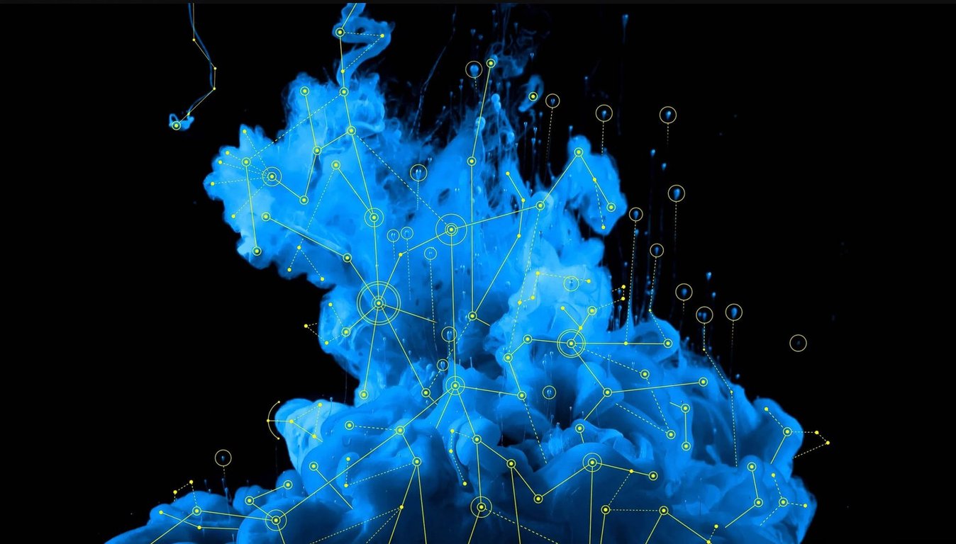 notion image