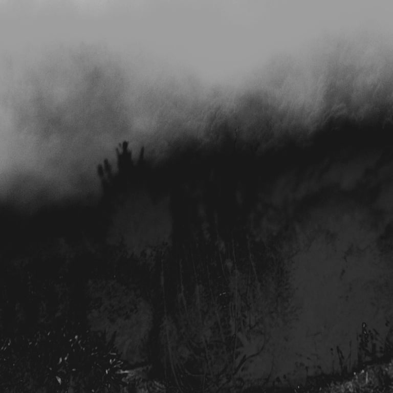 notion image