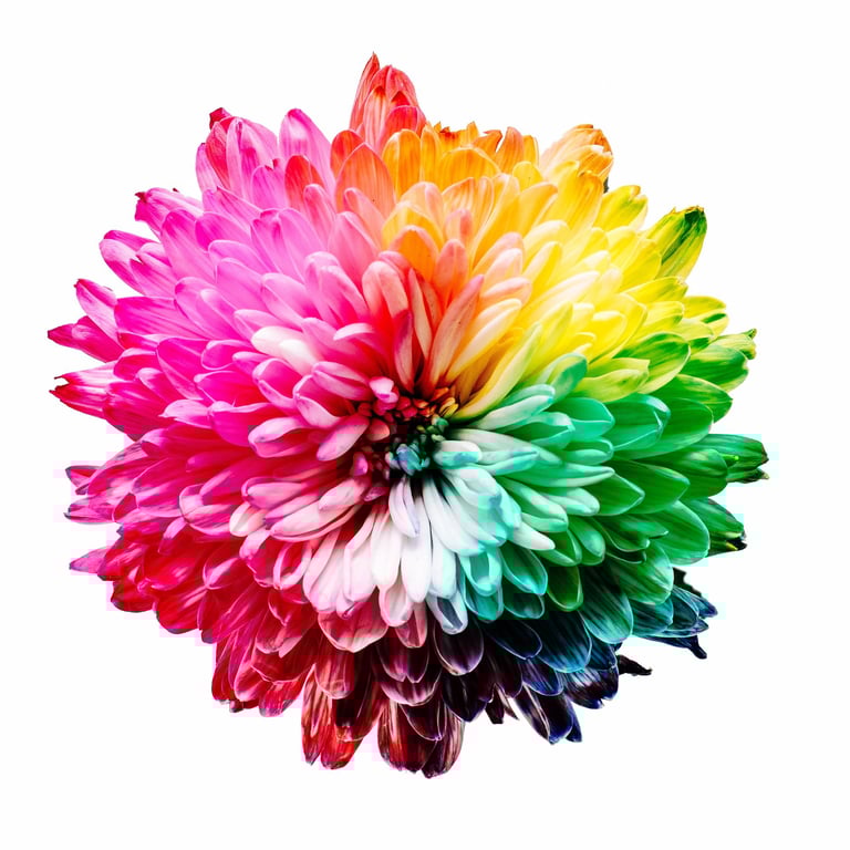 notion image