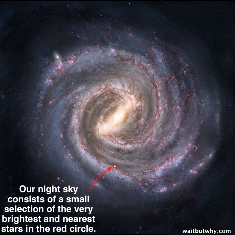 notion image
