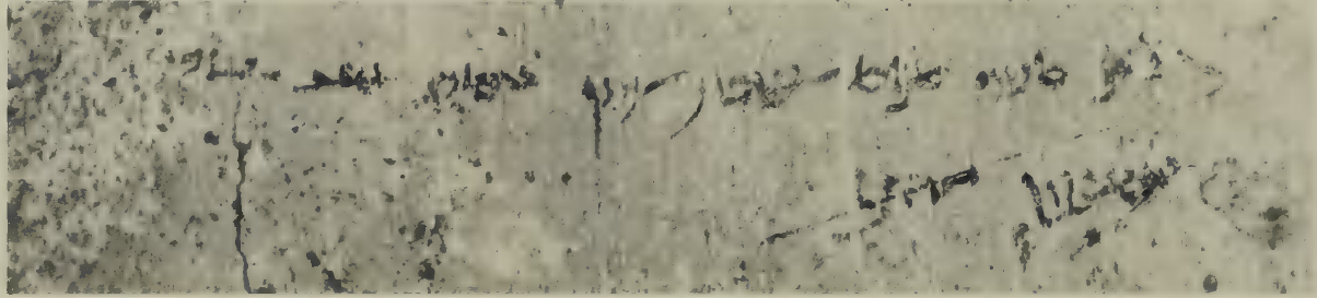 Inscription NO. 50