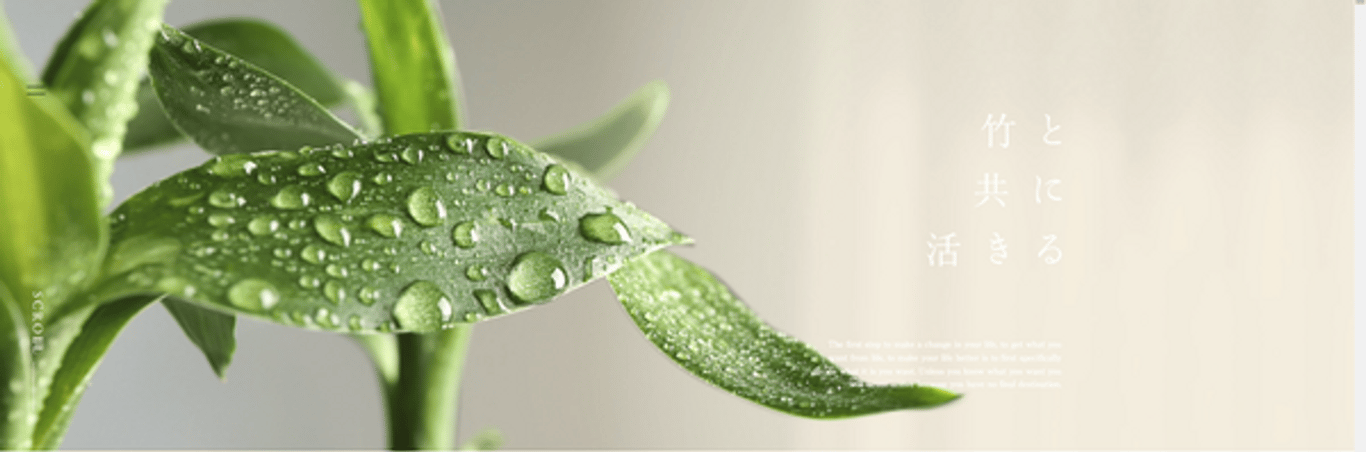 エシカルバンブー株式会社