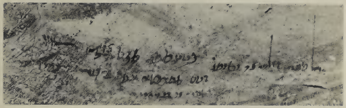 Inscription NO. 45