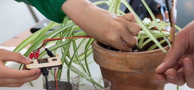 Co-directed Techno Culture Club