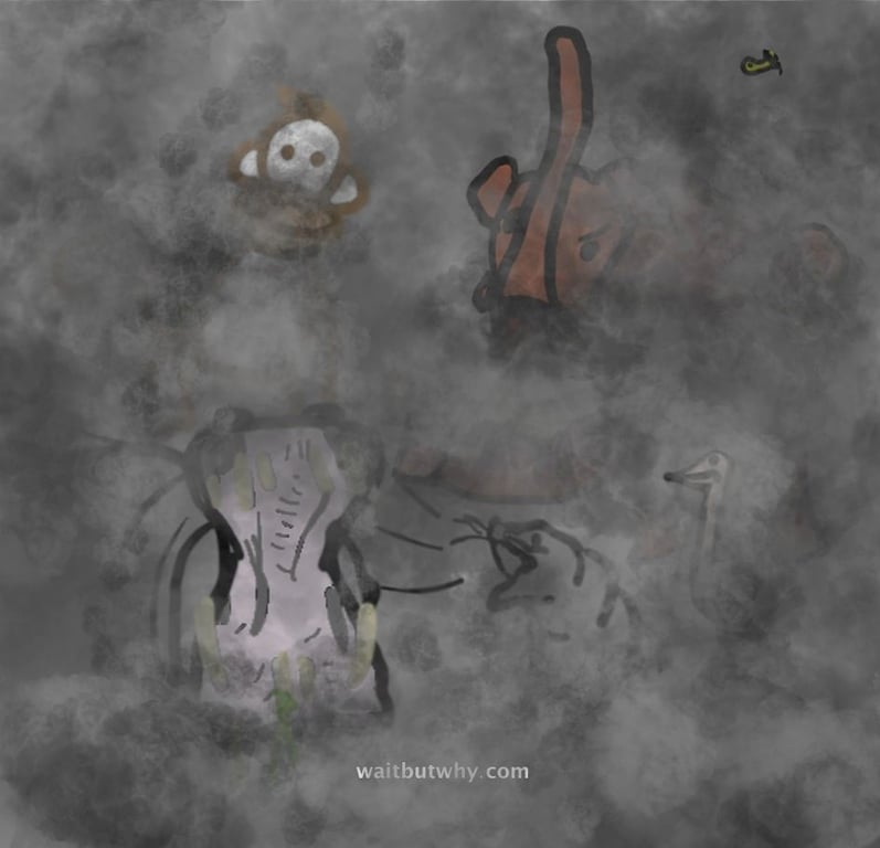 notion image