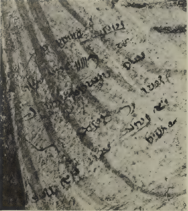 Inscription NO. 42