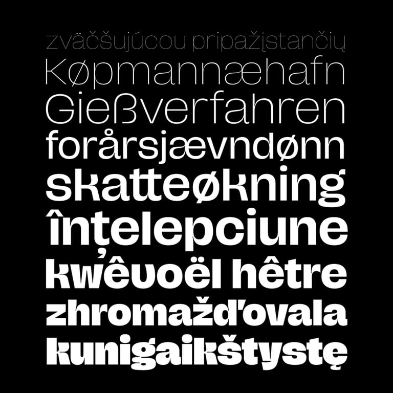 notion image