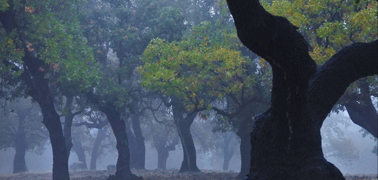 cihr ud cašmabgan | Nature and Landscapes