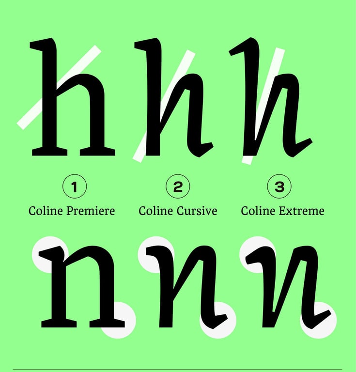 notion image
