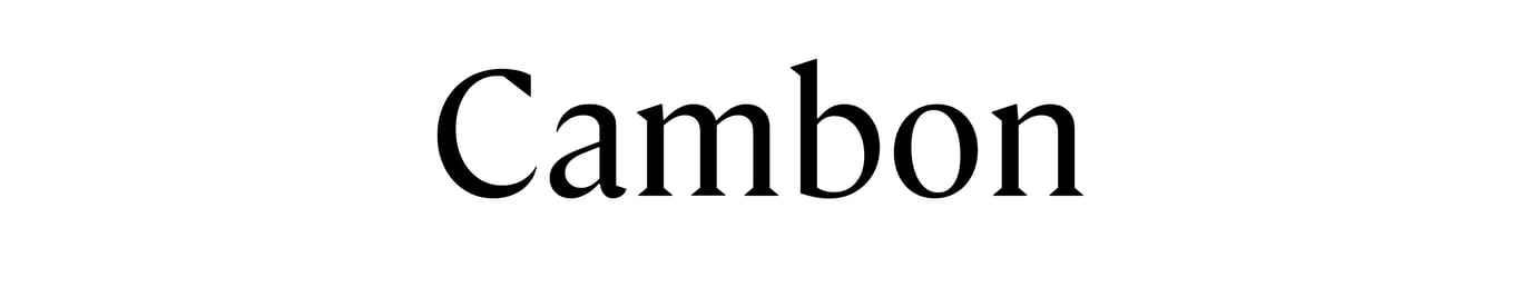 notion image
