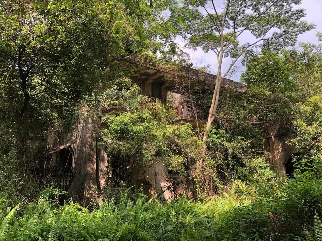 Istana Woodneuk (2018)