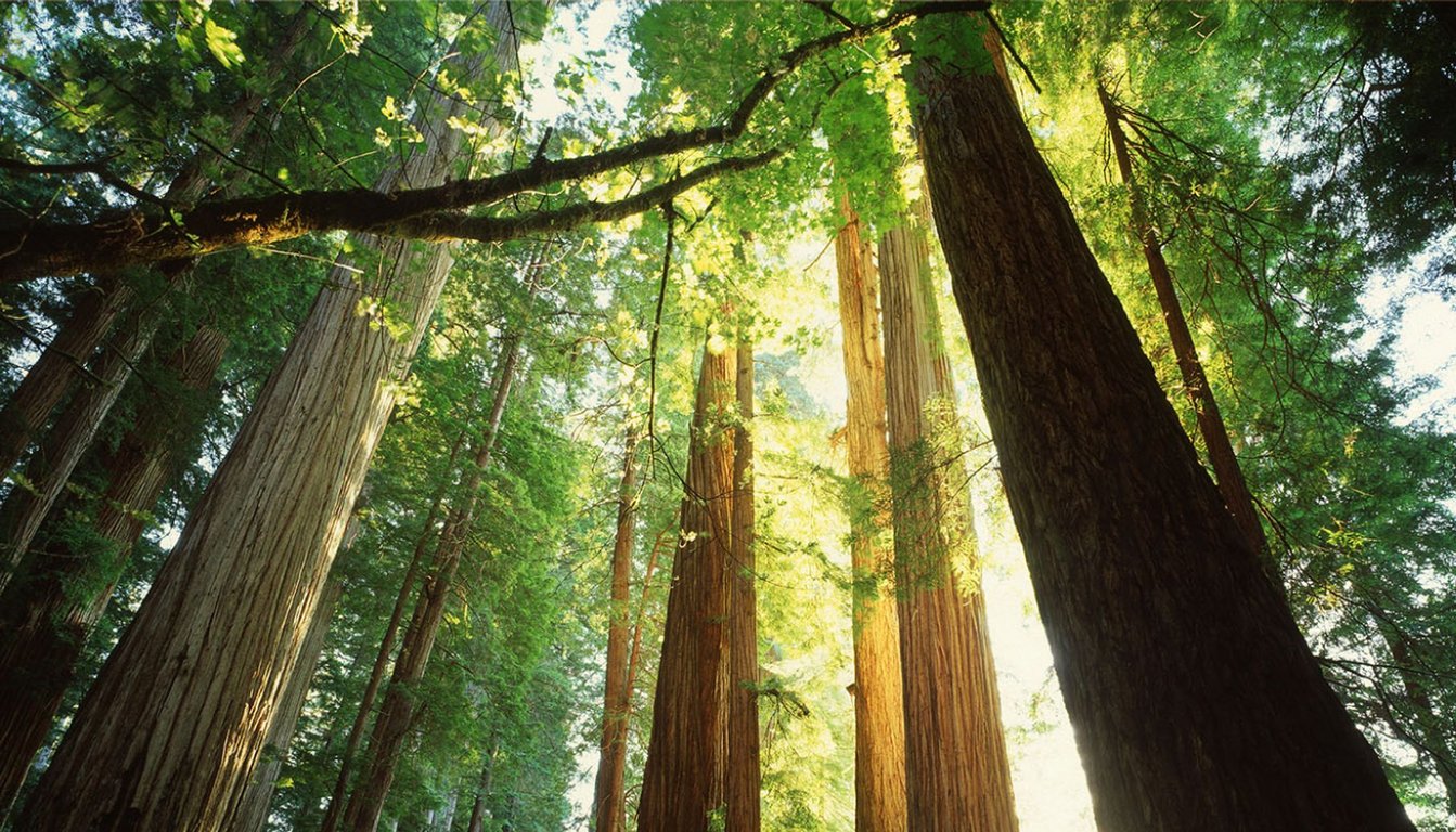 有限会社 生活アートクラブ