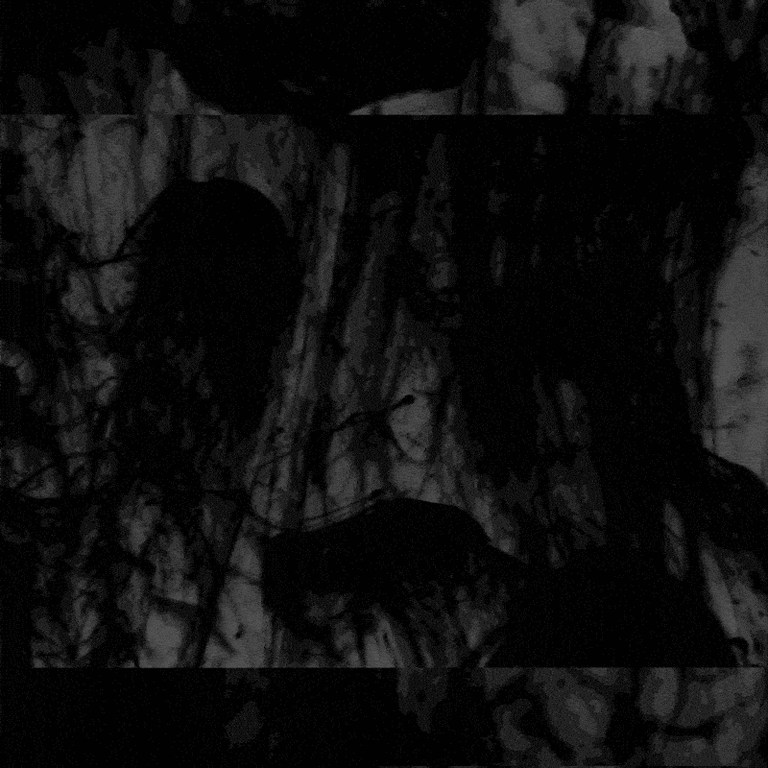 notion image