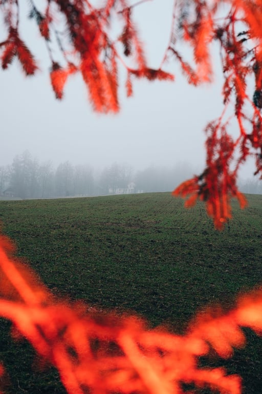 From “Synthesis” project