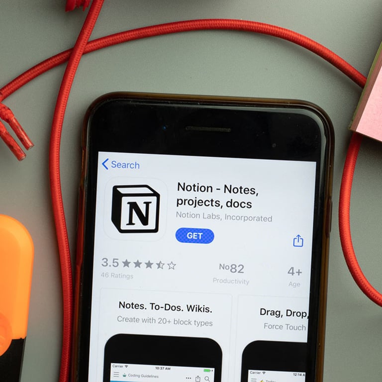 notion image