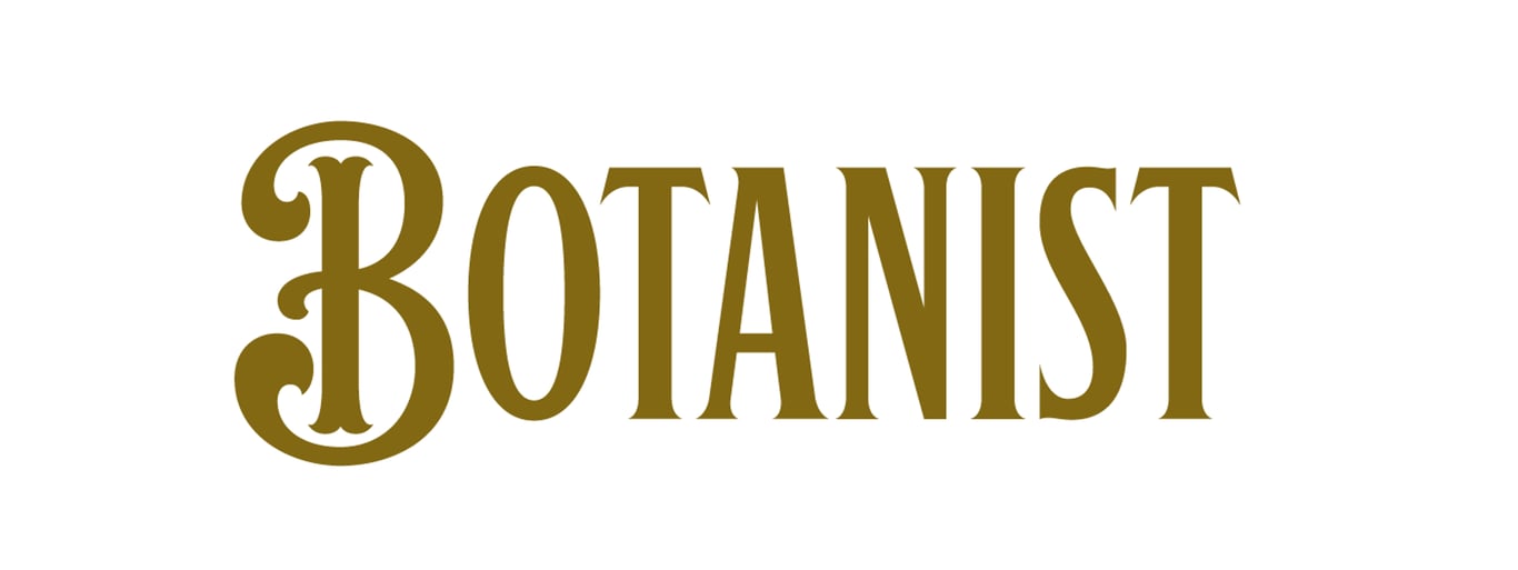 notion image