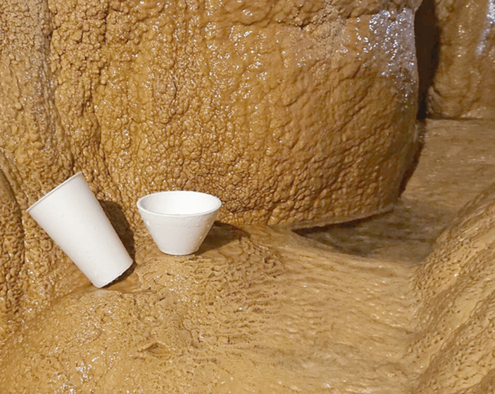 ワールド・リンク株式会社