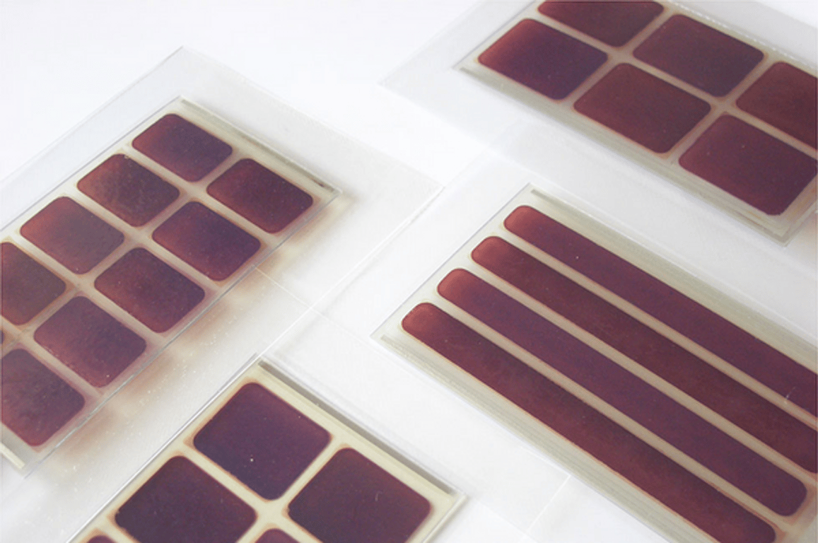 ペクセル・テクノロジーズ株式会社