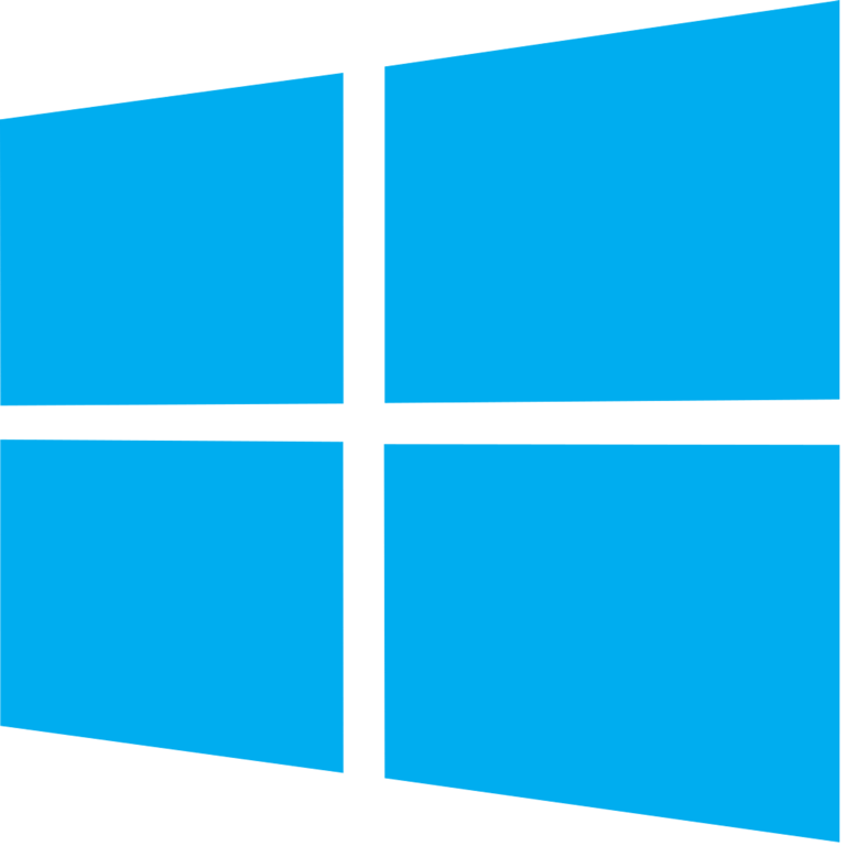 OS: Windows