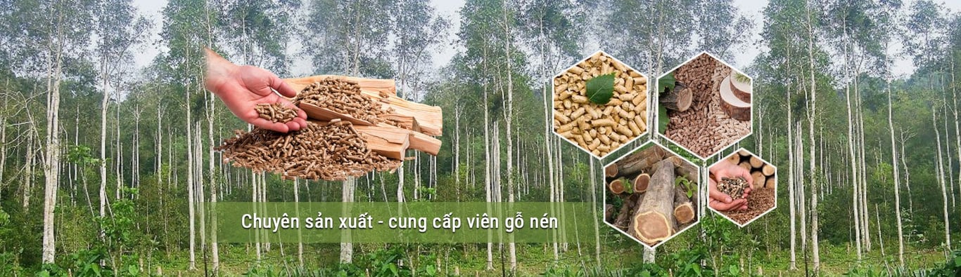 Quản Đốc