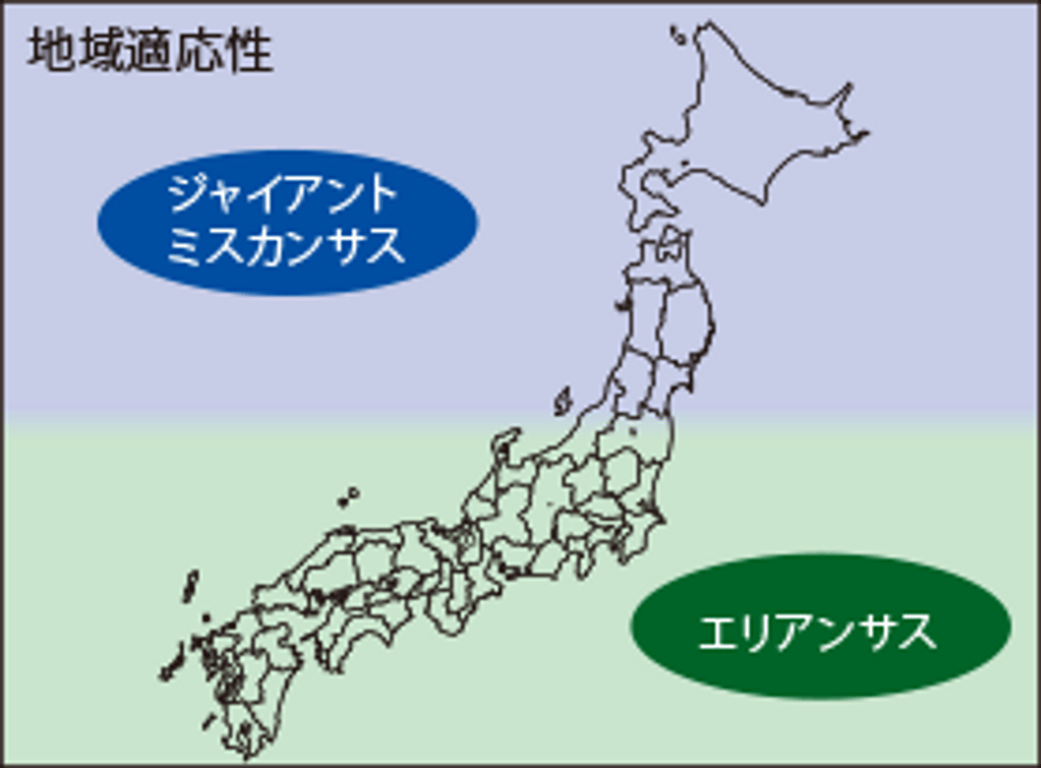 株式会社タカノ