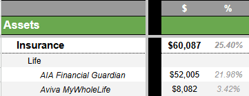 A table on google sheet showing the current value of my insurance