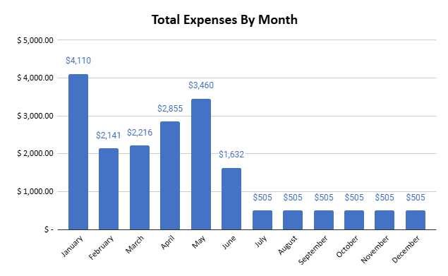a table showing my monthly expenses for the first half of 2025