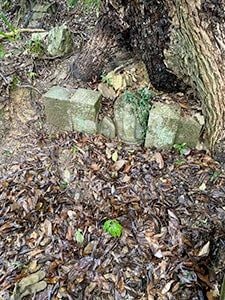 片桐あきひろ：佐々木只三郎