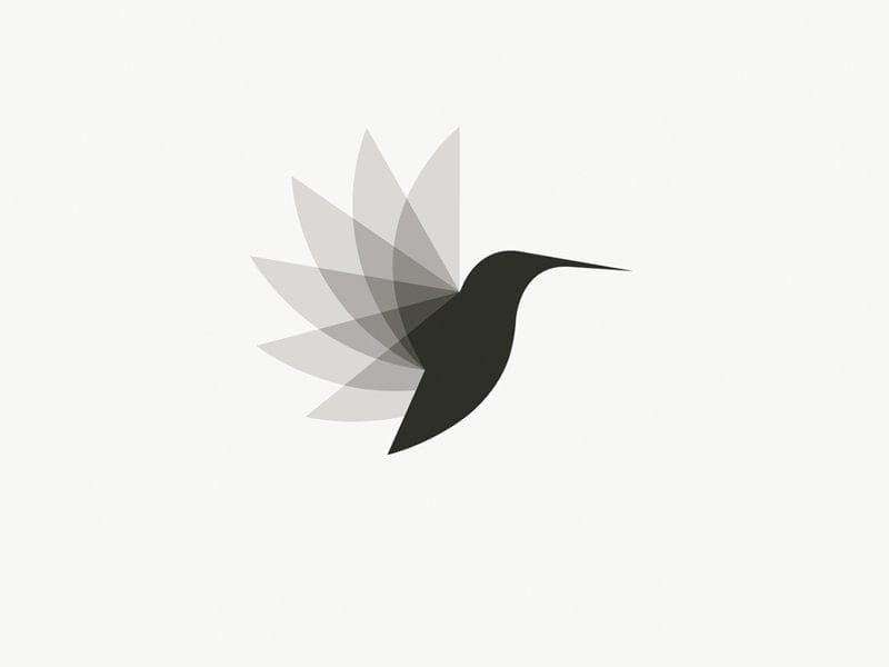 notion image