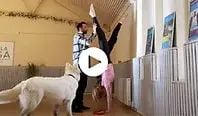 LIVE-CLASS-1 (1).webp