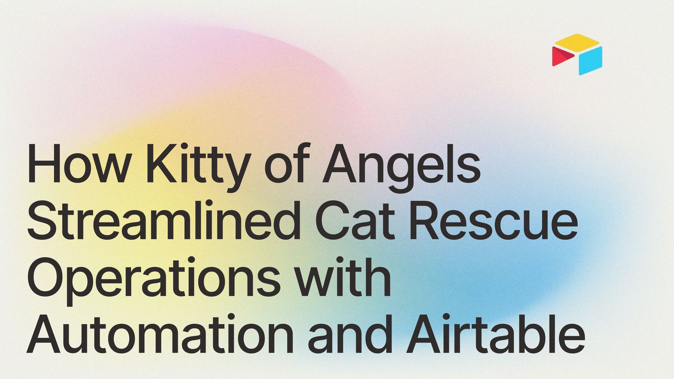How Kitty of Angels Streamlined Cat Rescue Operations with Automation and Airtable