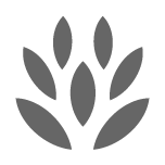 C82: Works of Nicholas Rougeux