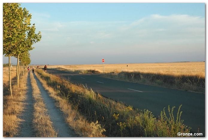 Bercianos del Real Camino - Mansilla de las Mulas | Camino Francés |