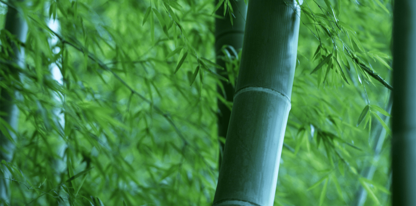 Takex Labo.co.,Ltd | Anti-bacterial, Anti-virus,Anti-odor