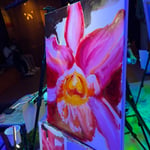 Carly K · AB4136-2-3 · Round 2 Easel 3