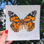 Kaysa Lammers sample work