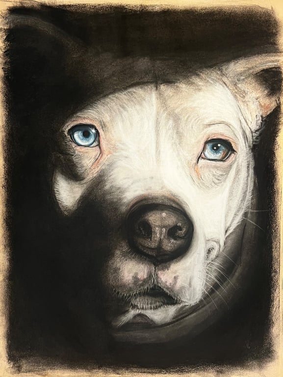 Robert the wild portrait
