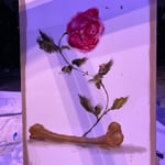 Teemu Korpela sample work