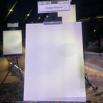 Turtle Wayne · AB3035-2-3 · Round 2 Easel 3