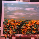 Amy Nitchman