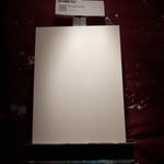 Brianne Casey · AB4050-1-3 · Round 1 Easel 3