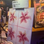 Metzli Flores · AB4084-1-6 · Round 1 Easel 6