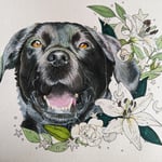 Madison Lirenman sample work