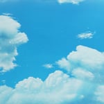 Meow and Bluesky