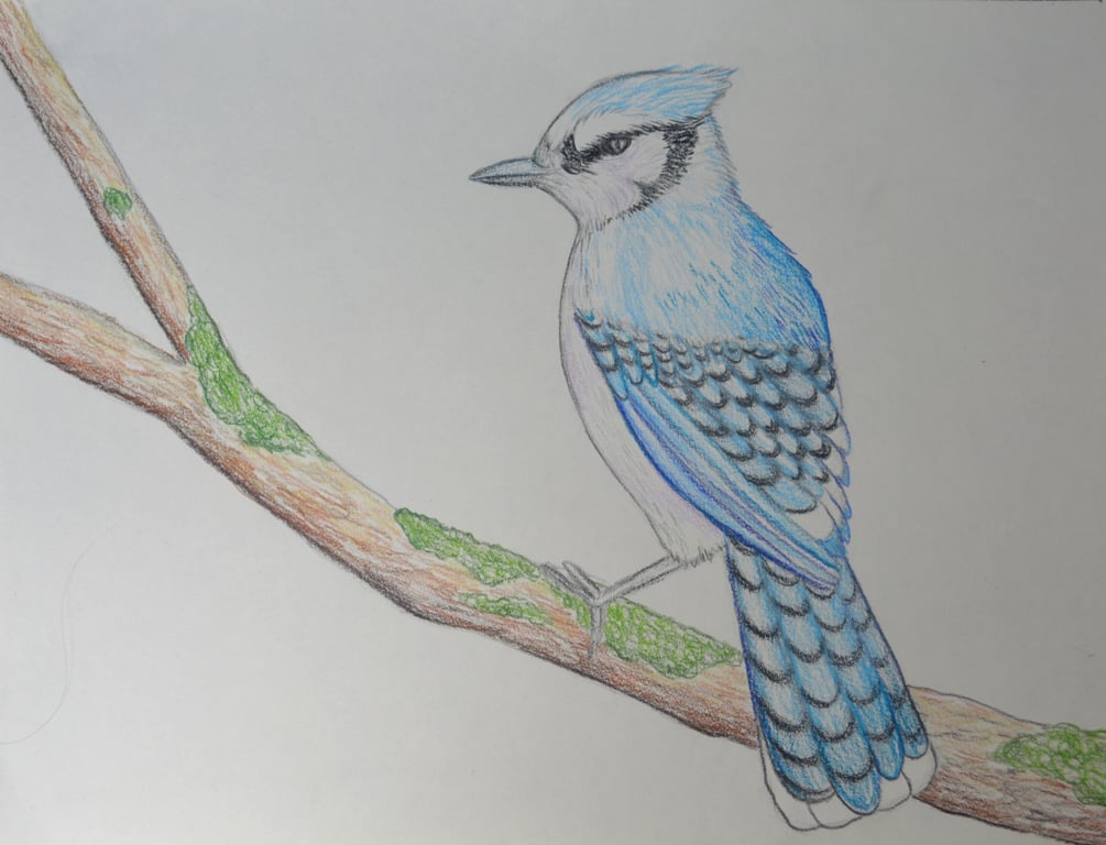 Sample work
