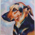 Ysabel Ledesma Portilla