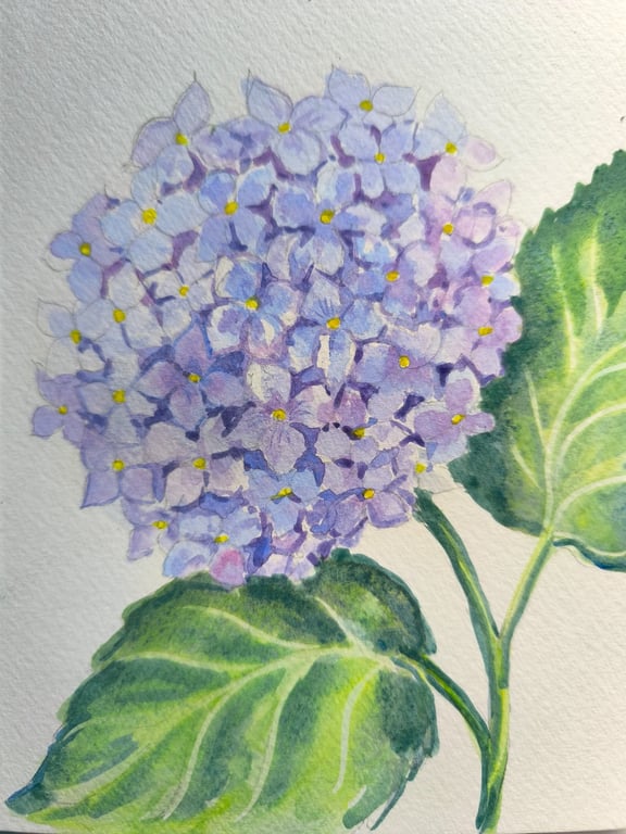 Sample work