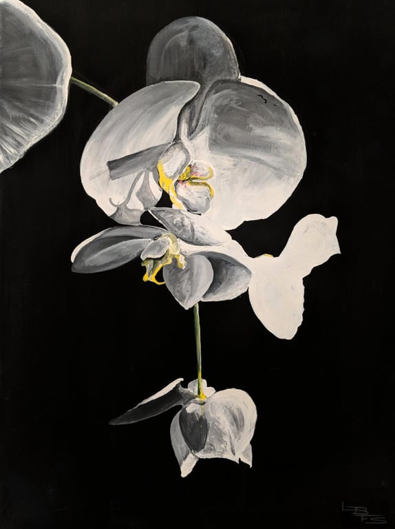 Sample work